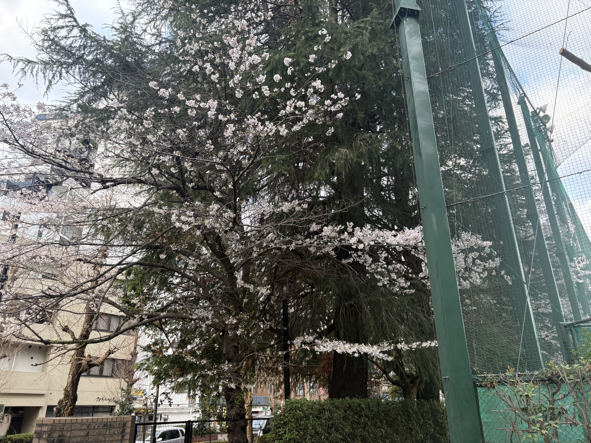 a画像 -20260331-215424-9f3fa2c3